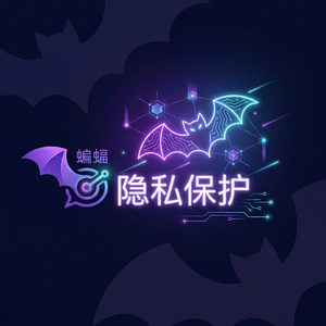 蝙蝠聊天 - 蝙蝠聊天软件通讯ROI分析方法